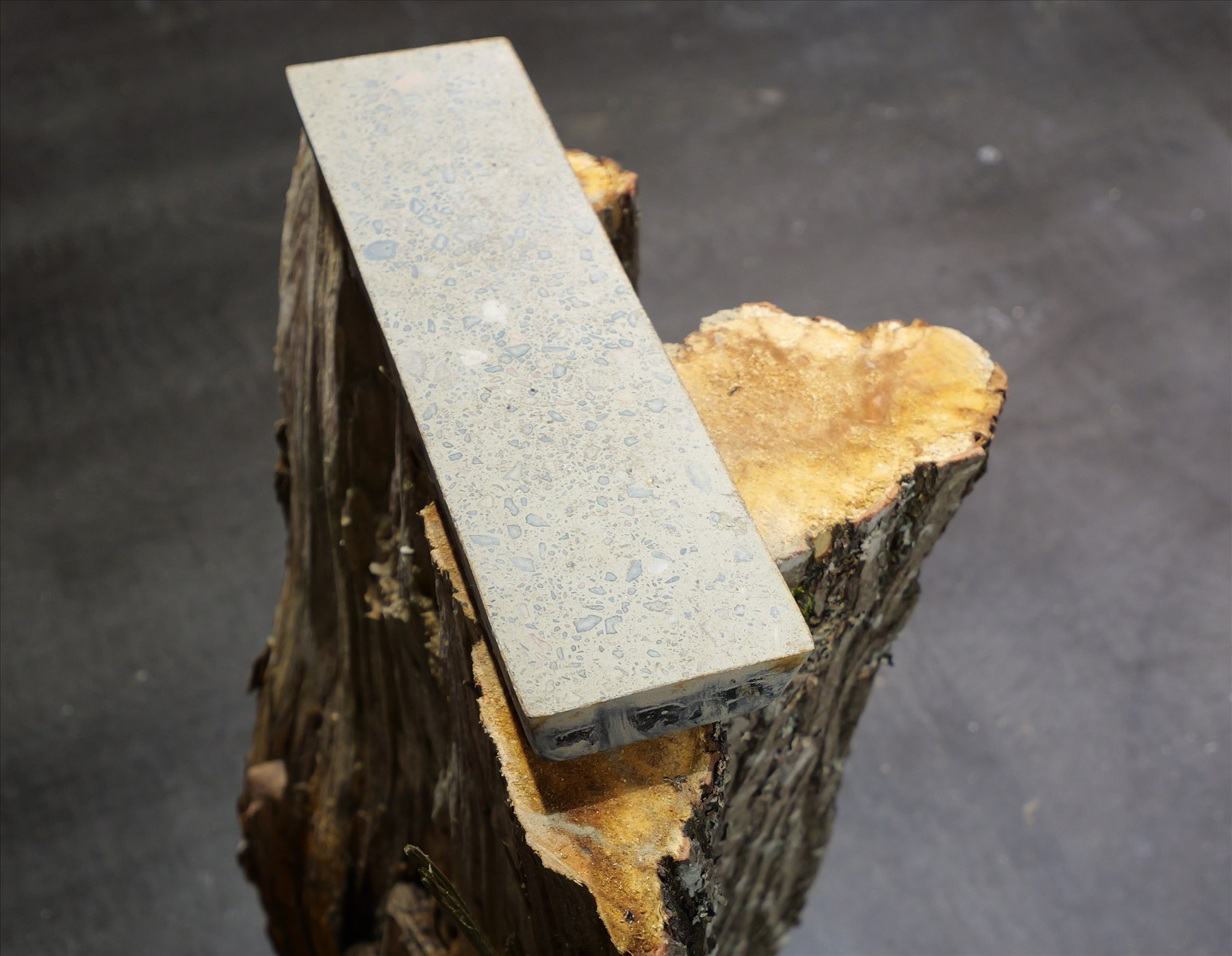 Clay floor sample resting on a tree stump plinth
