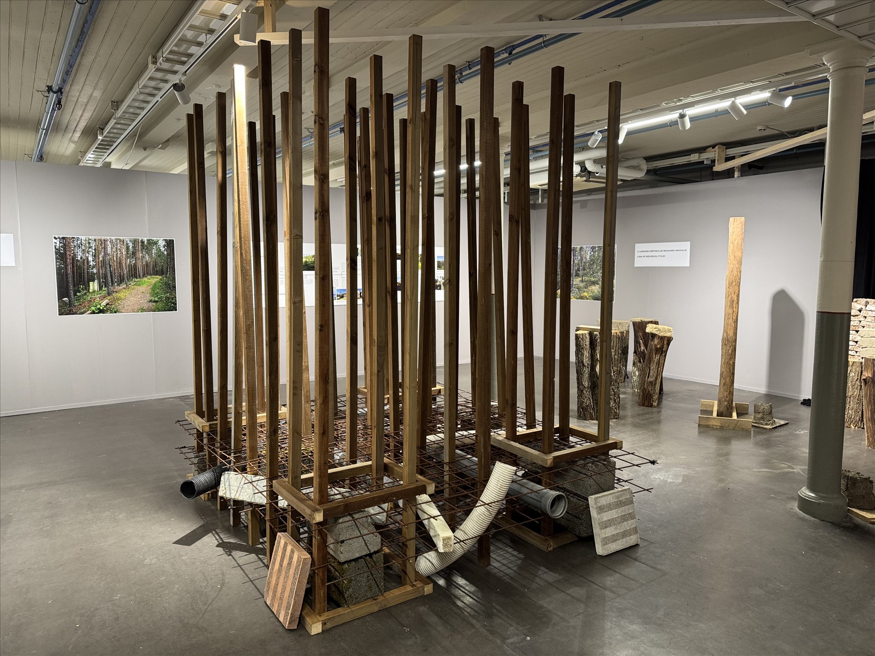Installation of timber columns referencing managed commercial forestry